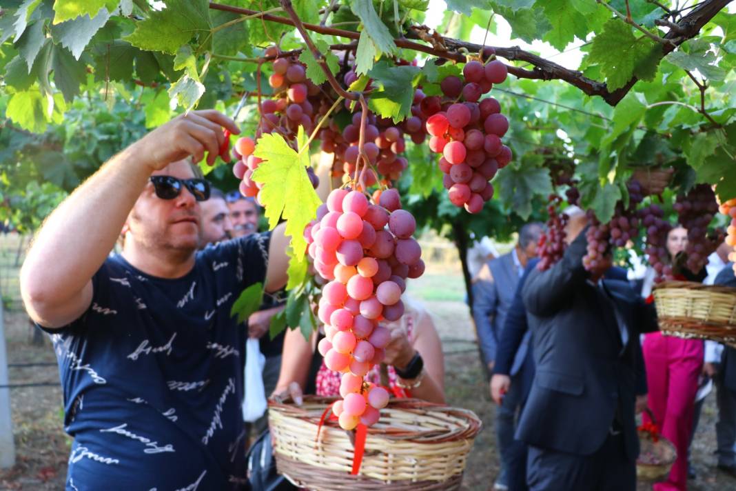 Tarım kentinde bağ bozumu böyle başladı: Muhteşem fotoğraflara konu oldu 2